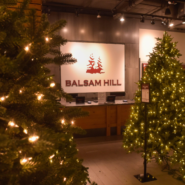 BALSAM HILL | Copyediting & Localization