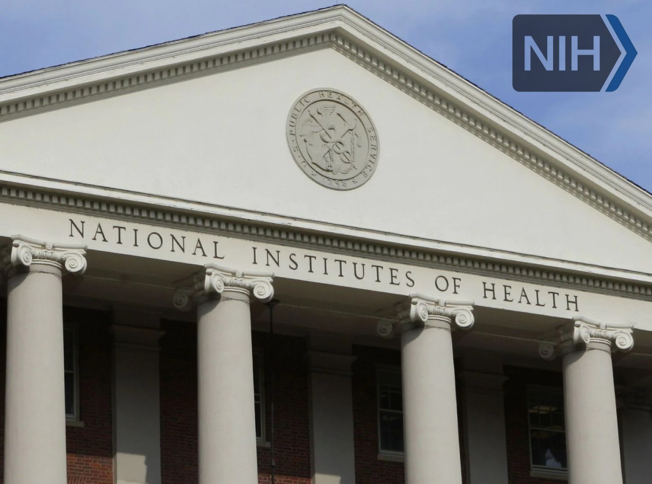 NIH | Translation & LQA