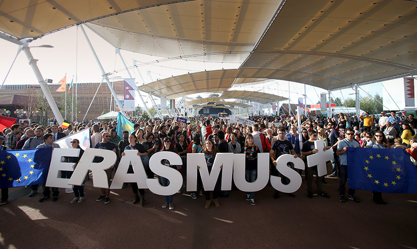 ERASMUS | Translation & MTPE