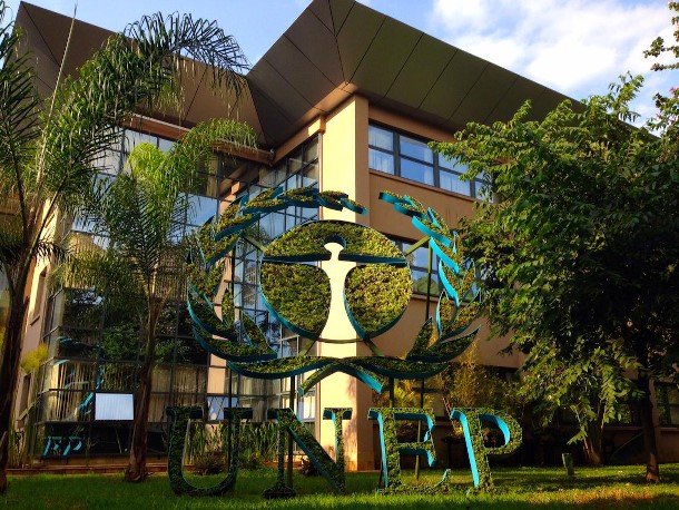 UNEP | Translation & MTPE